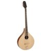 Richwood RIBZ-40 Bouzouki 